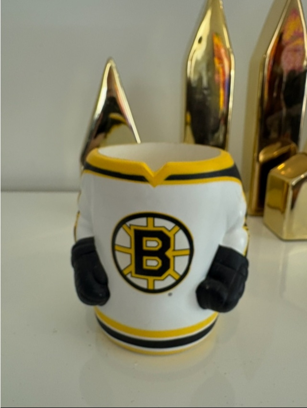 Boston Bruins Jersey Foam Cosie Accent